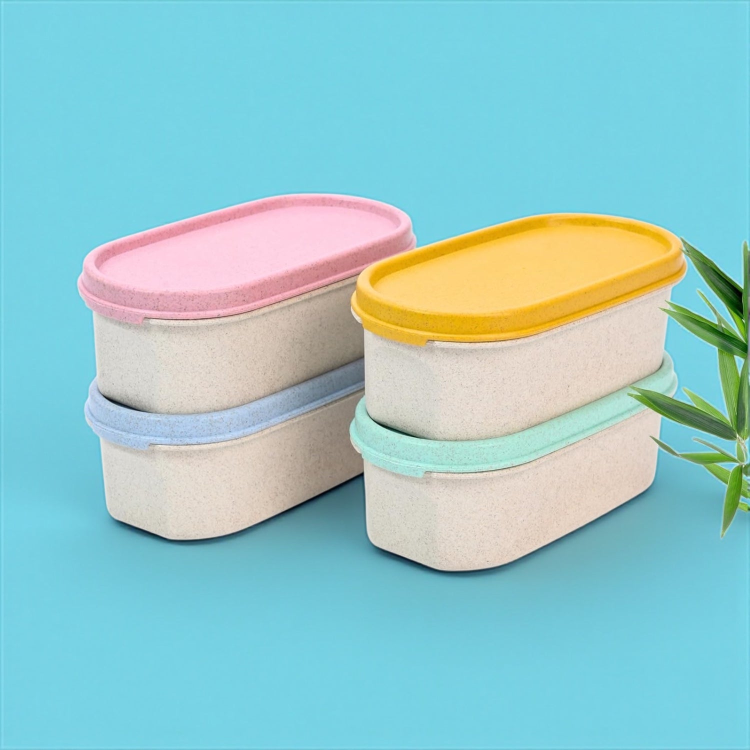 Premium Snack Box